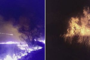 Șase hectare de teren pârjolit la Axente Sever – Incendiul a fost controlat la timp
