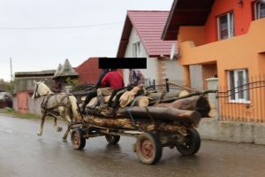 Romii din Budacu de Sus umblă noaptea şi vând căruţe de lemne. Apelul unui consilier local din Șieu