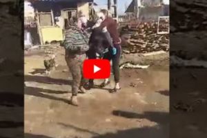 ROMII DE LA MALU VÂNĂT AU FILMAT INTERVENŢIA POLIŢIŞTILOR