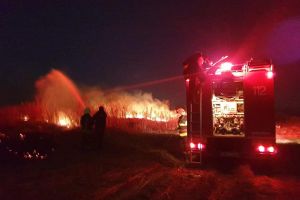 FOTO. Incendiu în judeţ. Un hectar de vegetaţie a fost cuprins de flăcări