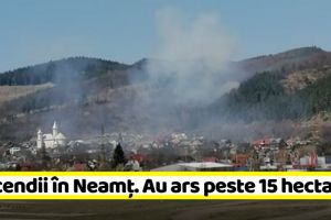 NEAMȚ: 6 incendii în Neamţ. Au ars peste 15 hectare de vegetaţie uscată