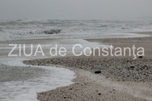 centrulnatura.ro: Umbra sau forta de propulsie 