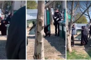 VIDEO. Romi luaţi pe sus de jandarmi pentru că au refuzat să intre în carantină, la Timişoara
