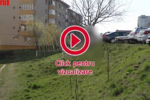 S-a spânzurat de un copac, în faţa blocului în care locuia, cu mânuşi şi mască pe faţă