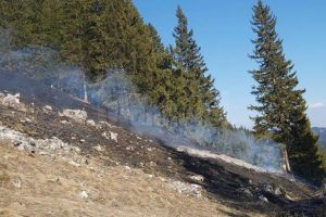 Cinci ore de muncă, pentru lichidarea unui incendiu de vegetaţie uscată la Crucea