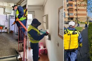 FOTO| Primăria Sebeş va efectua, din 6 aprilie, servicii de dezinfecţie în scările tuturor blocurilor: Recomandări pentru cetăţeni