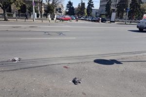 Porumbei morti, in centrul Ploiestiului. Se pare ca pasarile au murit din cauza dezinfectantilor cu care se stropesc strazile