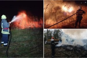 Creştere alarmantă a incendiilor de vegetaţie, în judeţul Satu Mare