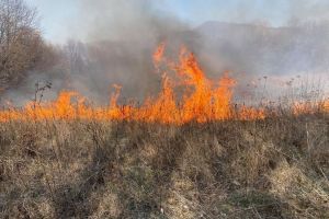 Incendii de vegetaţie uscată în mai multe zone din judeţul Harghita