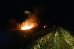 FOTO Cabana distrusă de flăcări la Reciu