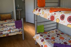 Primăria Timişoara caută hoteluri pentru carantină. Dă aproape 400.000 de euro