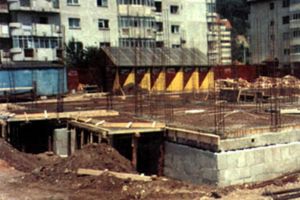 „La Suceava”