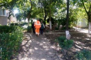 FĂRĂ publicarea unui anunţ! Cum va alege Primăria firma care se va ocupa de DEZINFECȚIE în oraş