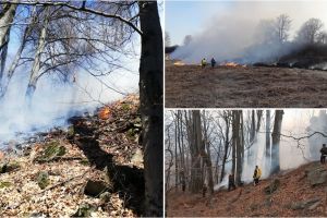 FOTO. Incendiu de proporţii în judeţul Satu Mare. Pompierii intervin de mai bine de 34 de ore