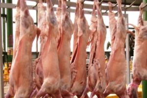 Comercializarea cărnii de miel de Paşti
