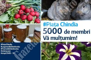 “Piaţa Chindia” o iniţiativă USR  – PLUS, în sprijinul producătorilor  dâmboviţeni