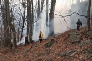 FOTO. Hectare de pădure şi terenuri, mistuite de flăcări. Misiune dificilă a pompierilor sătmăreni