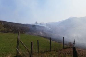 FOTO. Incendiu violent în zona Luna Șes. Dealuri cuprinse de flăcări