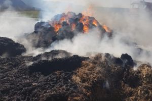Judetul Tulcea: Incendiu la a o sira de paie. Pompierii limiteaza propagarea flacarilor