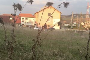 Cazul asistentei din Sibiu hărţuită – Vecin: „Nu am jignit-o, nu am agresat-o! O respect”