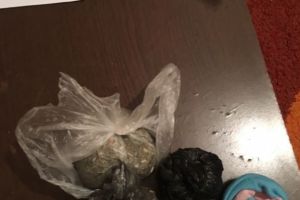 Retele de distributie a etnobotanicelor in Constanta, Medgidia, Navodari si Cernavoda. DIICOT a trimis in judecata mai multe persoane 