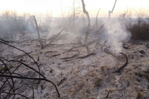 FOTO: Pompierii s-au luptat patru ore să stingă un incendiu la Agnita şi Alţâna – Au ars opt hectare de vegetaţie