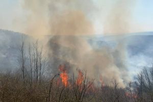 Incendiile de vegetaţie dau mari bătăi de cap autorităţilor locale de pe Valea Țibleşului (VIDEO)