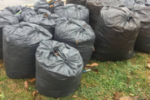 Plătim 6 mil. € pentru deşeurile vegetale, dar timişorenii de la case trebuie să le ducă la centrele de colectare sau să cumpere saci
