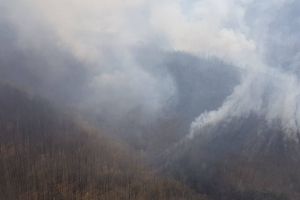 VIDEO. A treia zi de luptă cu focul în pădurea din zona localităţii timişene Crivina de Sus. Intervine şi un elicopter de la MAI