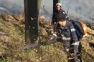 25 de hectare de teren afectate în urma incendiilor de la Moldova Nouă