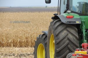 PSD Ialomiţa: Secetă extremă în Ialomiţa – Autorităţile trebuie să reacţioneze imediat!