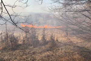 S-au înmulţit incendiile de vegetaţie în Harghita. Pompierii au trecut la dat amenzi