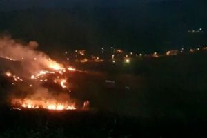 VIDEO| Incendiu PUTERNIC la o livadă de nuci, de 7 hectare, la Ighiu, pe dealul Măgurii