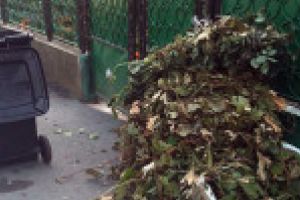 Deşeurile vegetale şi din construcţii vor fi colectate la Timişoara. Cetăţenii trebuie să anunţe Biroul Salubrizare