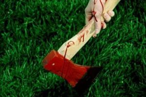 Tentativă de OMOR la Sâncel: Un bărbat şi-a lovit prietenul de mai multe ori cu toporişca