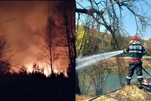 Trei INCENDII în judeţ! Zeci de POMPIERI au intervenit TOATĂ NOAPTEA pentru a stinge FOCUL (FOTO)