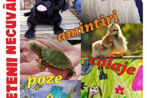 Expoziţie online de fotografie şi desene trimise de suceveni, organizată de Muzeul de ...