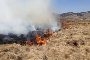 Zeci de oameni, mobilizaţi la trei incendii de vegetaţie scăpate de sub control