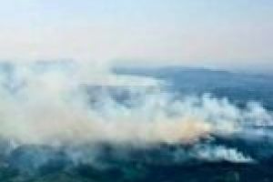 VIDEO. Pădurile şi păşunile din zona Fârdea sunt de trei zile în flăcări! Primarul face apel la cetăţeni