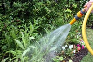 Nu irosiţi apa, folosiţi-o cu măsură! Sfatul Aquatim pe timpul pandemiei