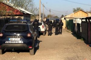 Aproape 200 de jandarmi, poliţişti şi militari au luat cu asalt cartierele Mimiu şi Bereasca