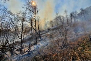 Foc în Parcul Natural Apuseni: De o săptămână, incendiile de vegetaţie uscată mistuiesc terenurile de lângă Pietroasa (FOTO)