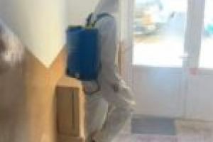Dezinfecţie finalizată! Peste 550 de scări de bloc din Lugoj, dezinfectate în cinci zile cu substanţe speciale, fără clor