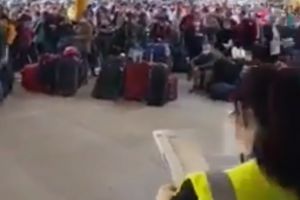 Curvele, pestii si hotii ne raman noua / Muncitorii romani sunt chemati la munca in Germania
