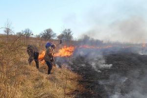 Un nou incendiu de vegetaţie: La Paleu, focul a ajuns foarte aproape de livezi (FOTO / VIDEO)