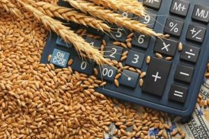 Guvernul, pregătit să interzică exportul de cereale şi chiar să declanşeze rechiziţii de pe piaţă