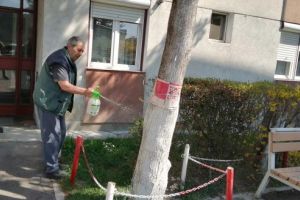 FOTO: Combaterea stresului COVID-19 prin voluntariatul din faţa blocului