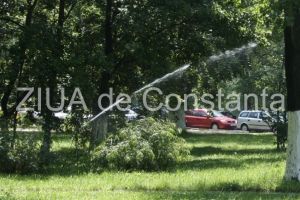 River Transnav, un nou contract pentru intretinerea sistemului de irigatii din municipiul Constanta (document)