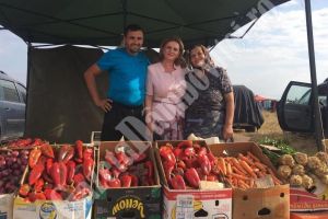 Claudia Gilia cere măsuri de sprijin pentru legumicultori. Cum este afectat Bazinul Legumiol Băleni, de coronavirus