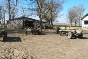 Amenzi colosale de la Garda de Mediu pentru un surăian care avea o fermă improvizată în Lunca Siretului